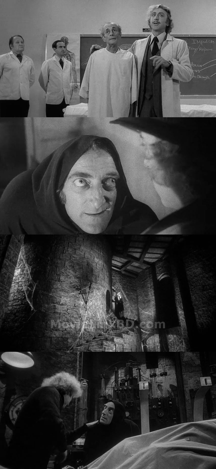 Young Frankenstein (1974) &bull; English on MovieLinkBD Movie