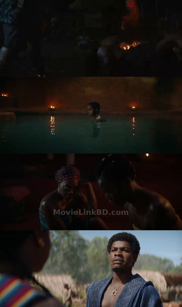 The Woman King (2022) &bull; Hindi, English Dual Audio on MovieLinkBD Movie