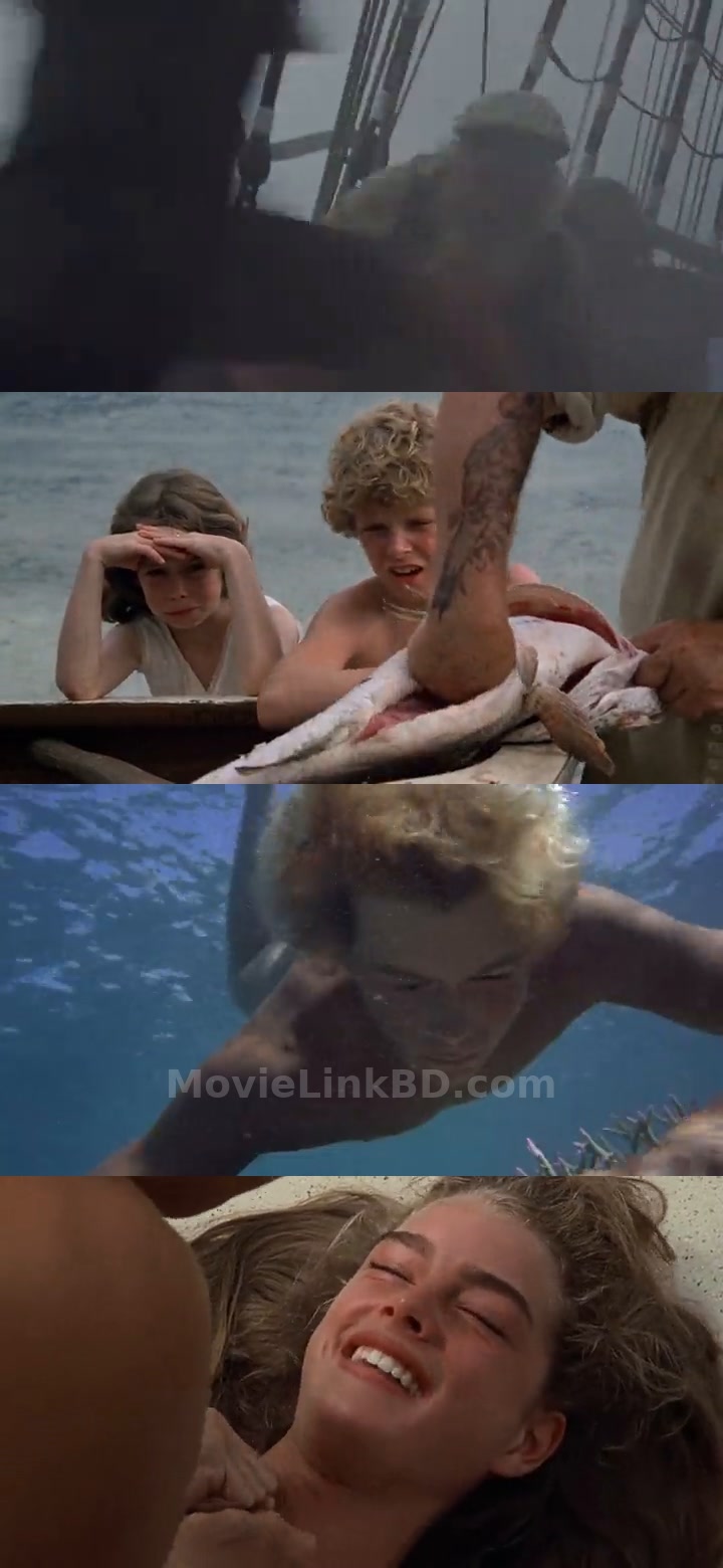 The Blue Lagoon (1980) &bull; English + Hindi + Dual Audio on MovieLinkBD Movie