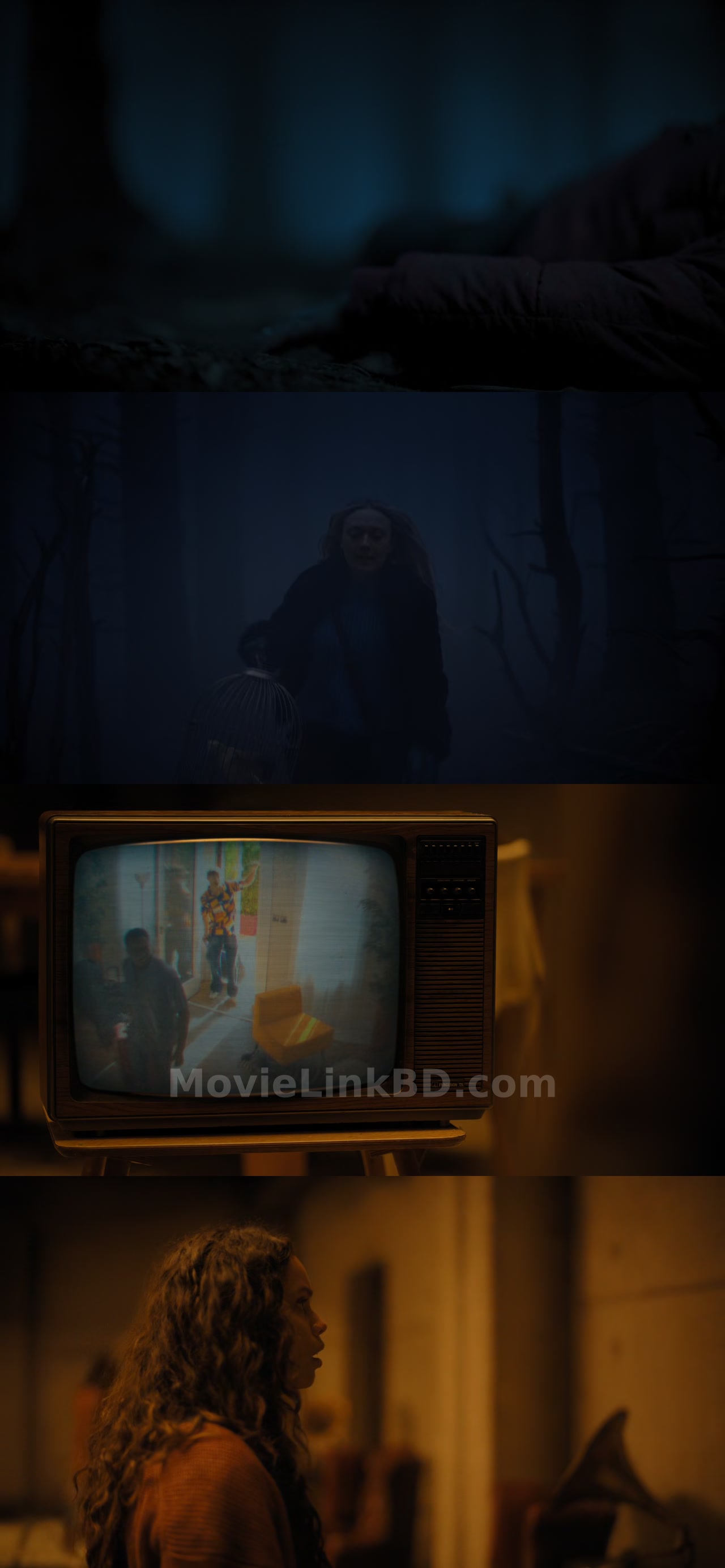 The Watchers -Full HD (2024) English Download | MovieLinkBD TV Movie
