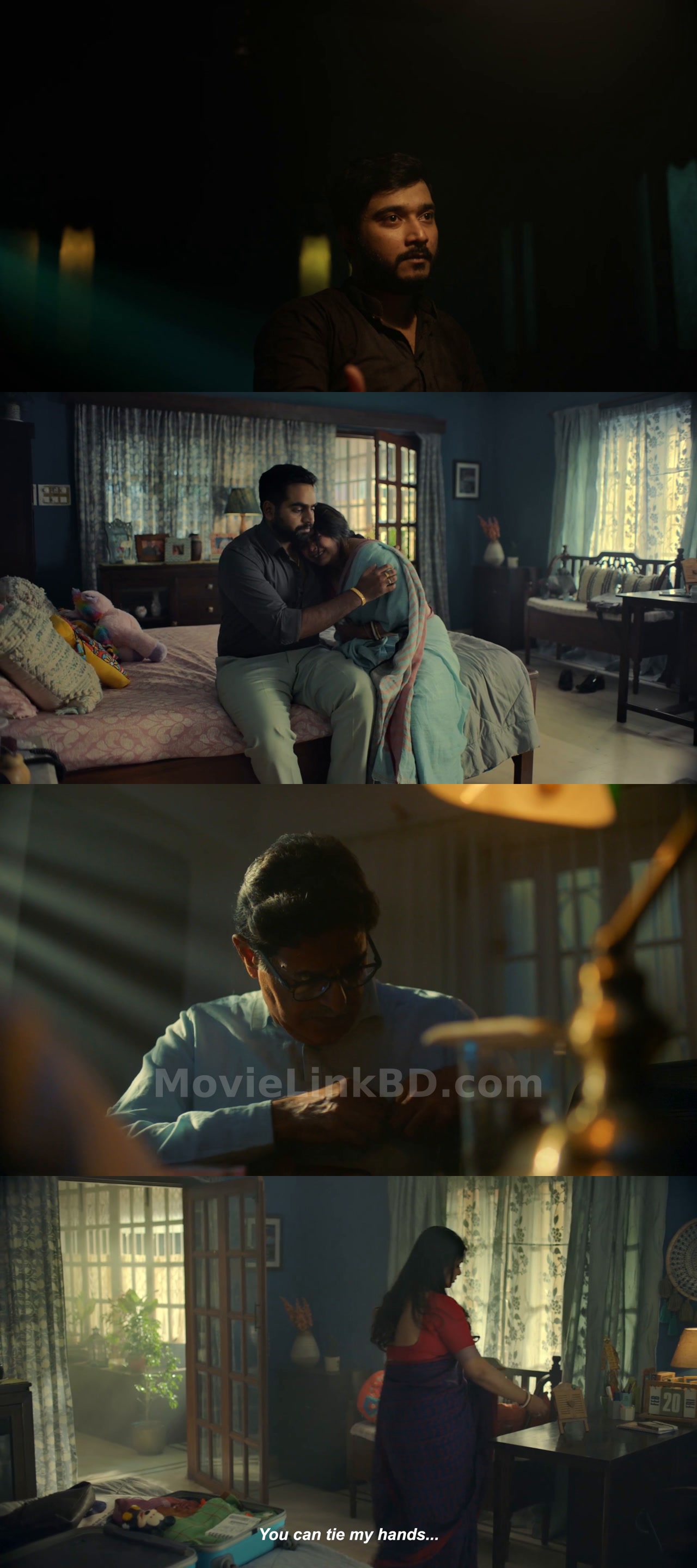 Nandini : Season 1 (2023) &bull; Bangla on MovieLinkBD Series