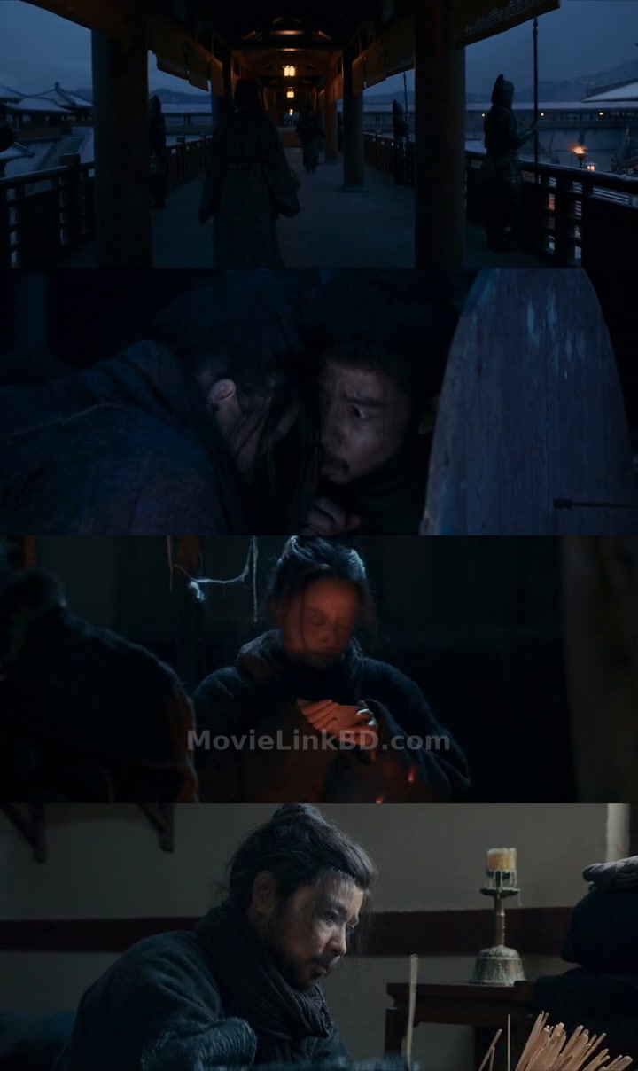 The Wild Blade of Strangers (2024) &bull; Hindi + Dual Audio + Chinese on MovieLinkBD Movie