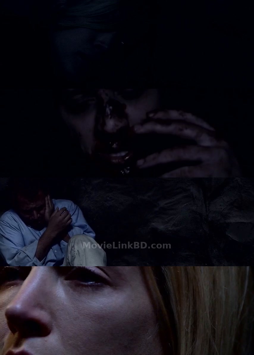 Hunger (2009) &bull; English on MovieLinkBD Movie