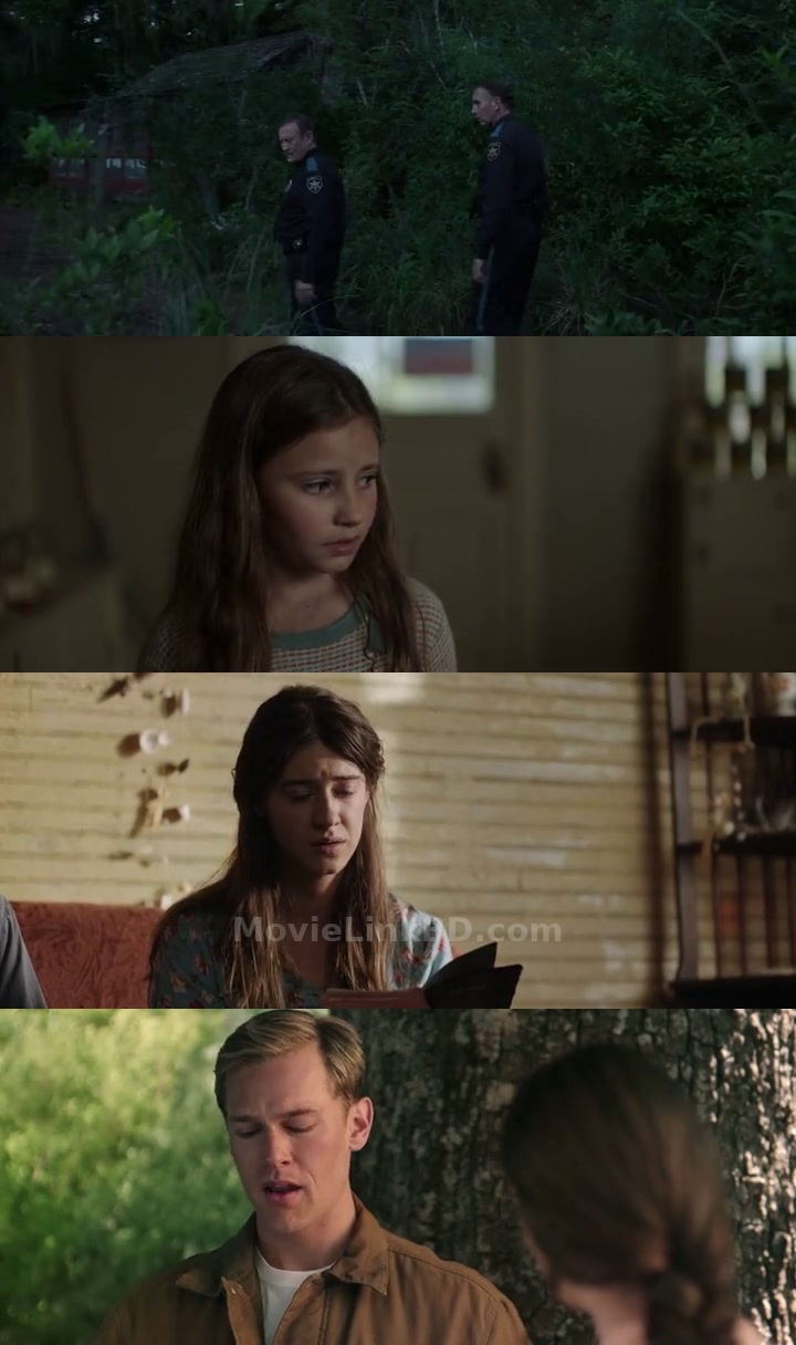 Where the Crawdads Sing (2022) &bull; Hindi, English, Dual Audio on MovieLinkBD Movie