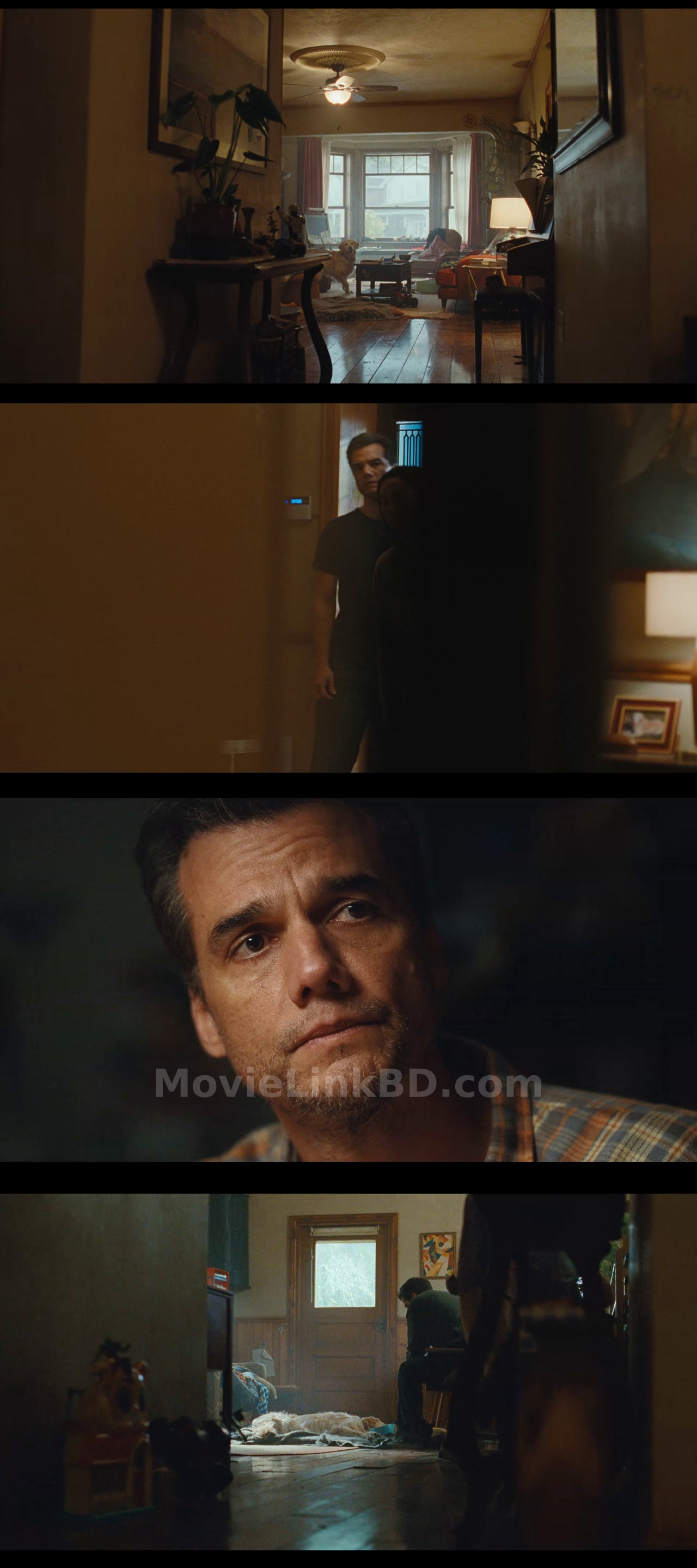 The Last House  [ORG Hindi] (2026) &bull; English + Hindi + Tamil + Telugu on MovieLinkBD Movie