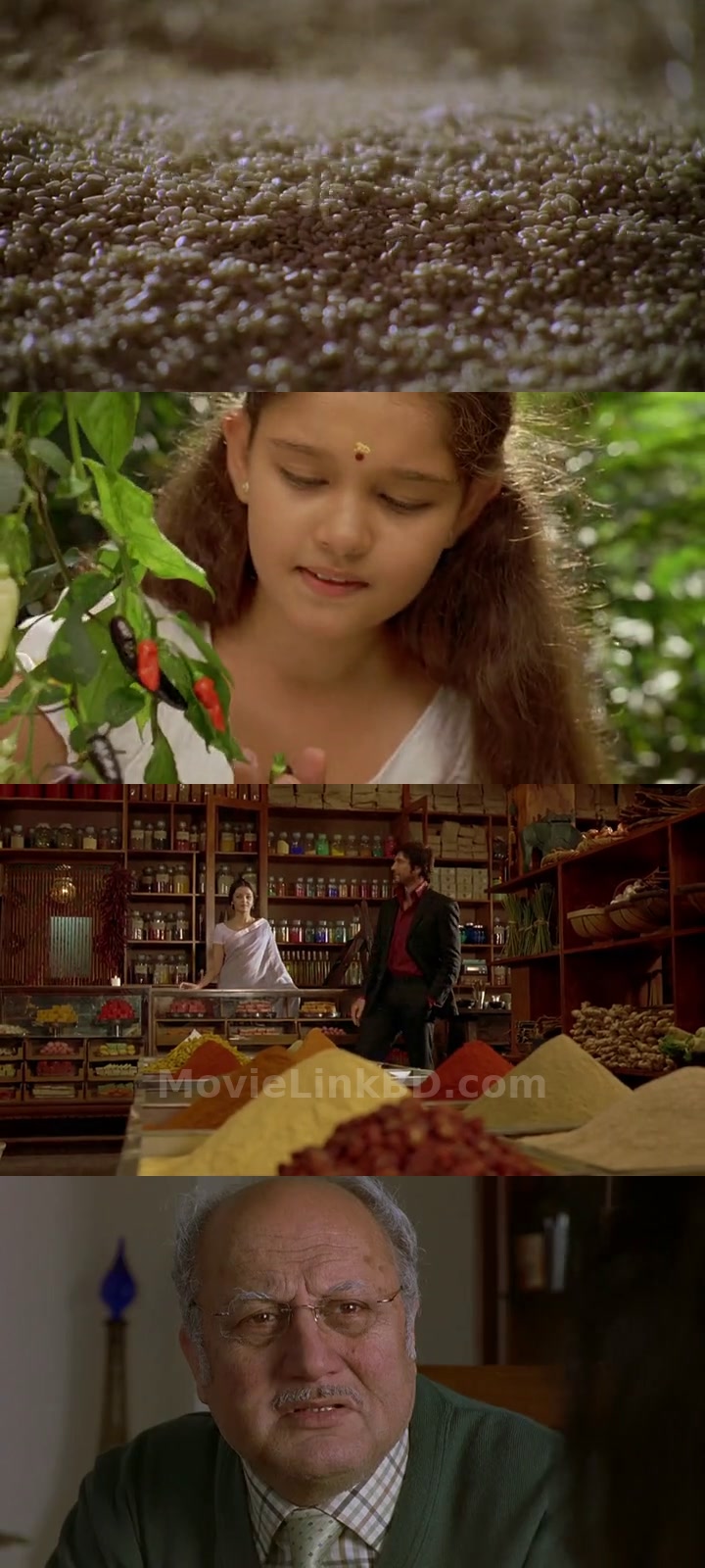 The Mistress of Spices (2006) &bull; Hindi on MovieLinkBD Movie