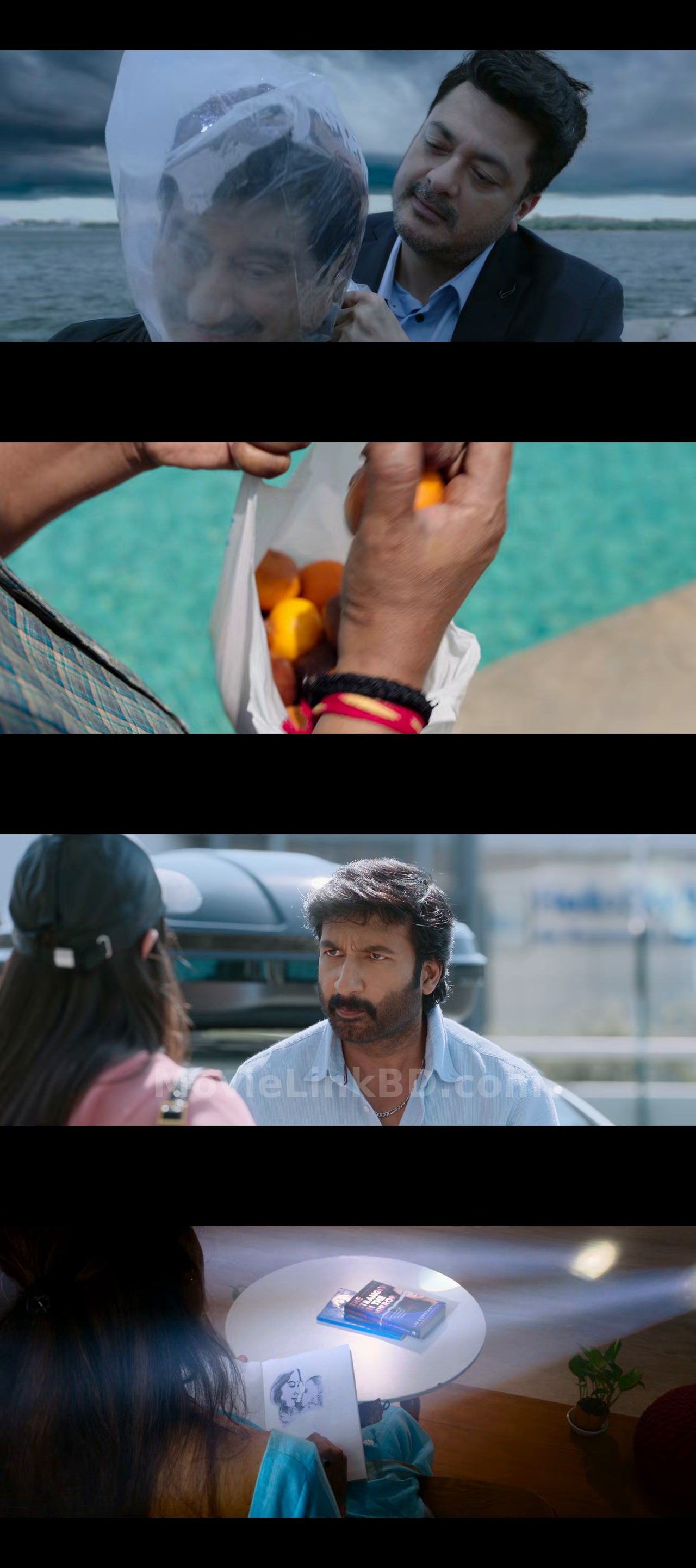 Viswam  Full HD (2024) &bull; Telugu on MovieLinkBD Movie