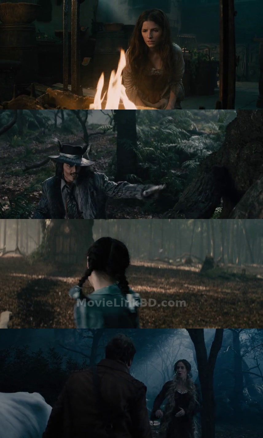 Into the Woods (2014) &bull; English on MovieLinkBD Movie