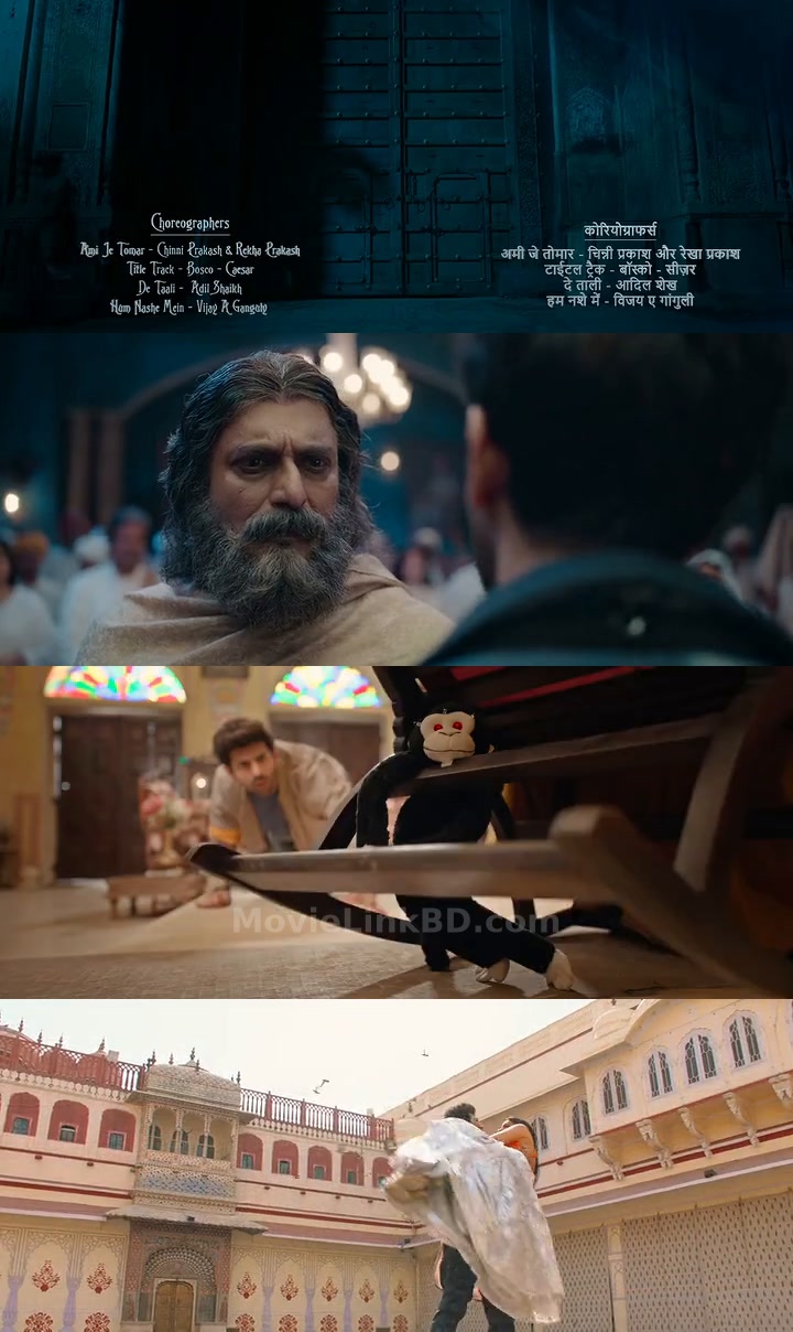 Bhool Bhulaiyaa 2 (2022) &bull; Hindi on MovieLinkBD Movie