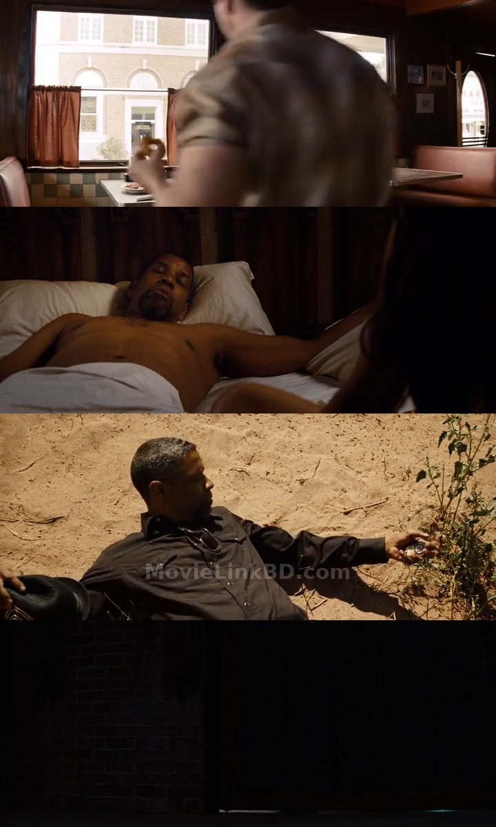 2 Guns (2013) &bull; English + Hindi + Dual Audio on MovieLinkBD Movie