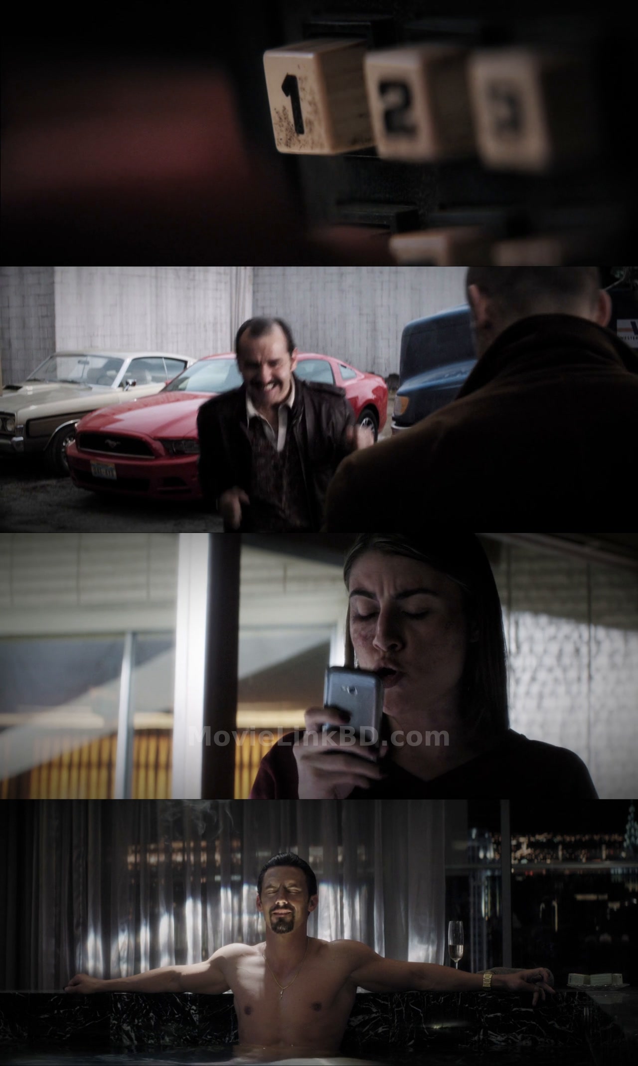 Wild Card (2015) &bull; Hindi, English, Dual Audio on MovieLinkBD Movie