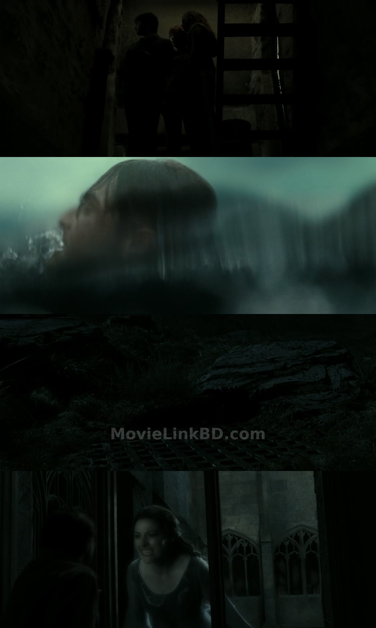Harry Potter and the Deathly Hallows: Part 2 (2011) &bull; English + Hindi + Dual Audio on MovieLinkBD Movie