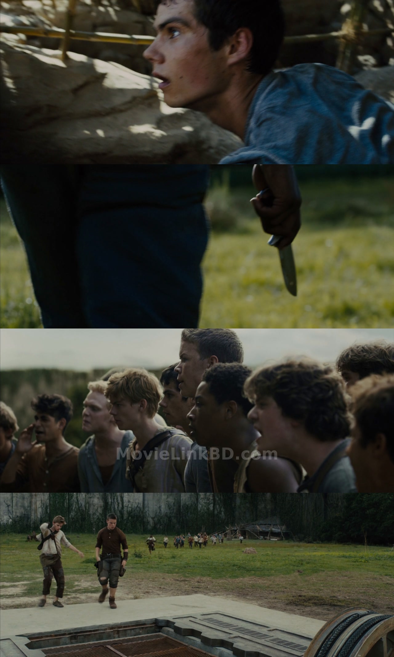 The Maze Runner (2014) English Download | MovieLinkBD TV Movie