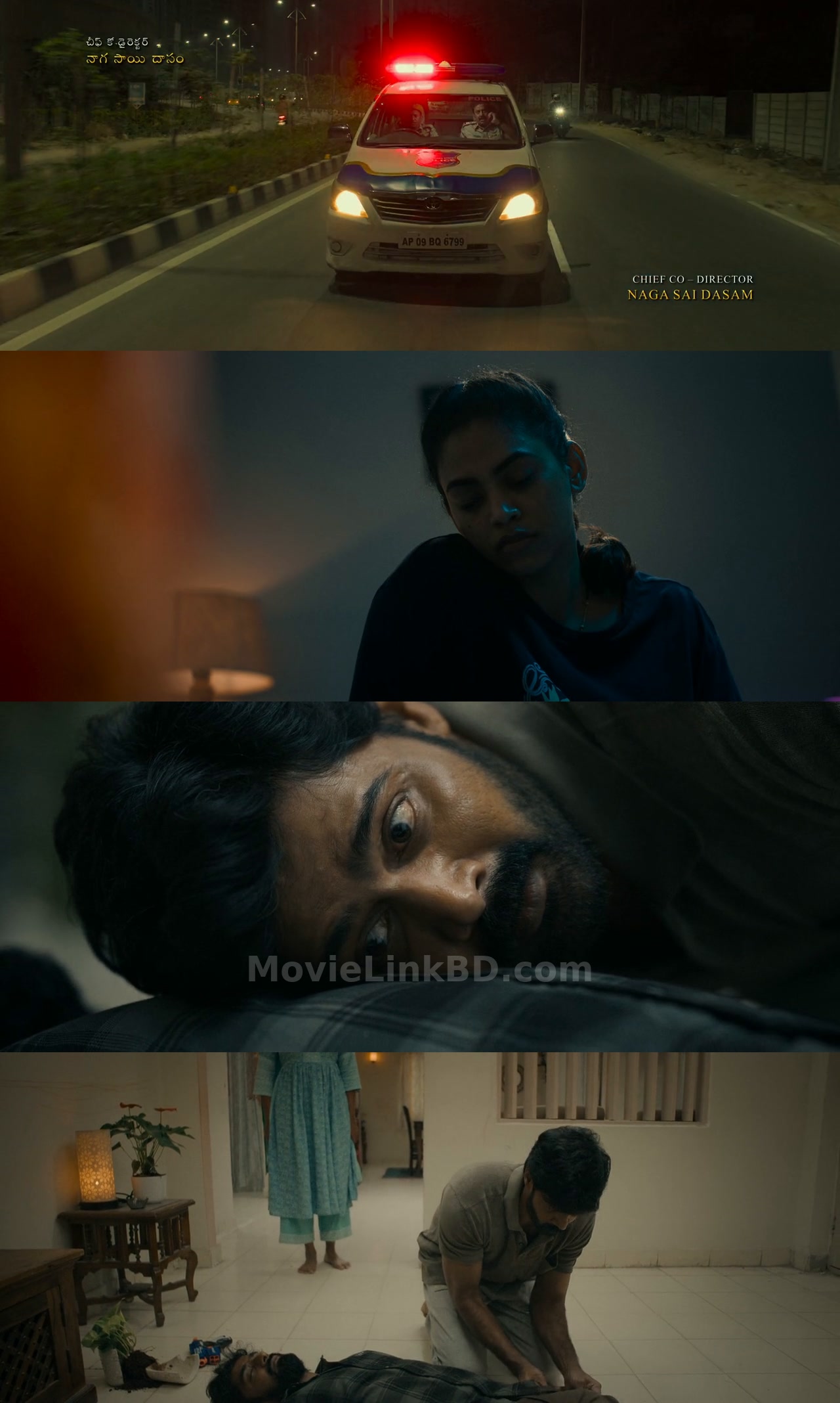 Show Time (2025) &bull; Hindi, Telugu on MovieLinkBD Movie