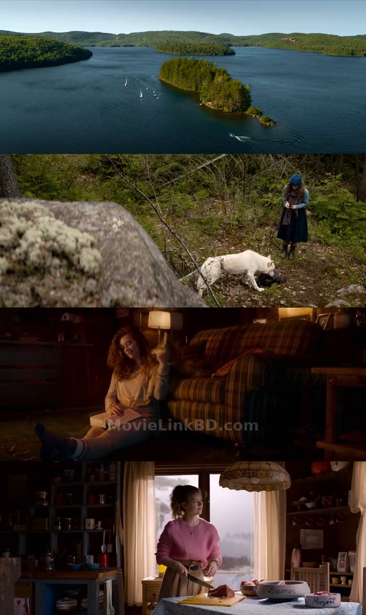 The Wolf and The Lion (2021) Hindi Download | MovieLinkBD TV Movie