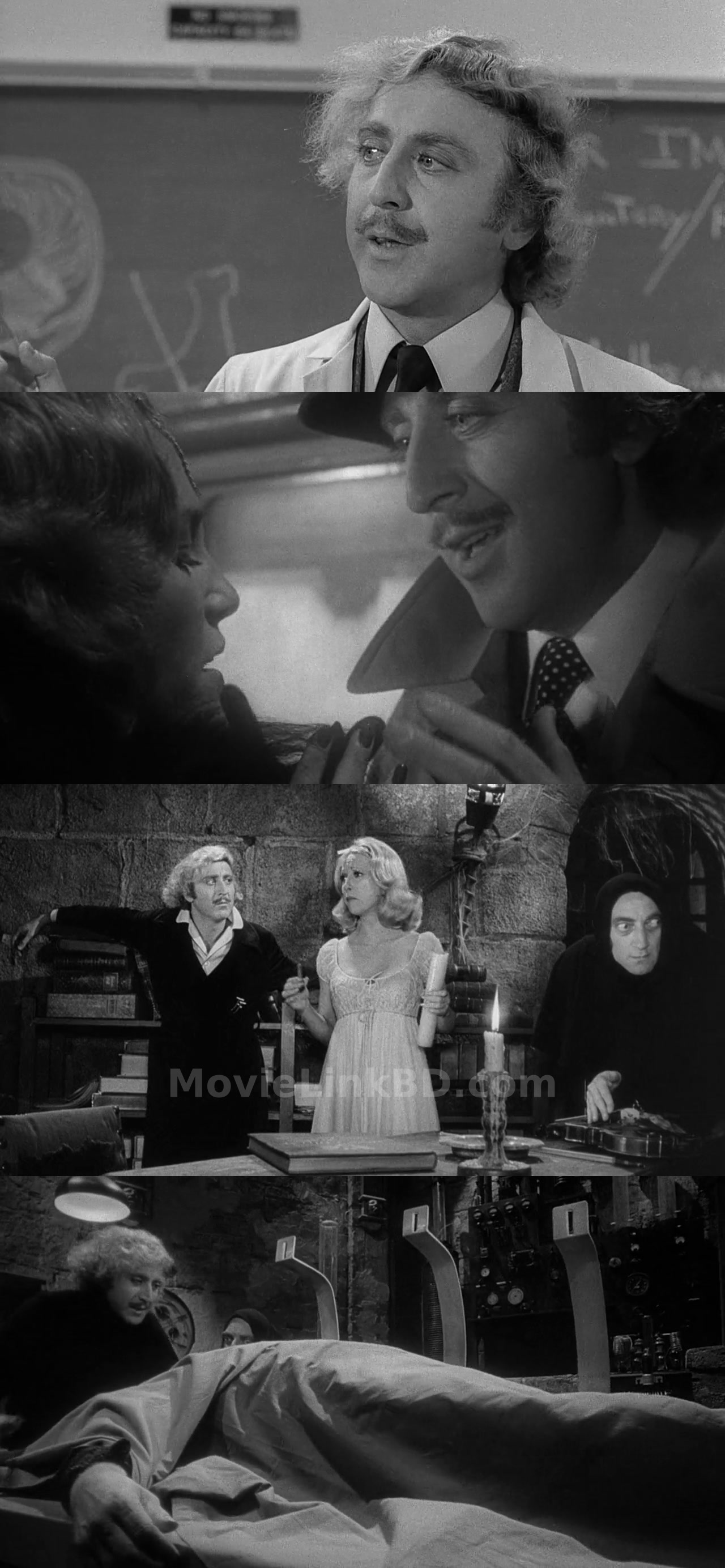 Young Frankenstein (1974) &bull; English on MovieLinkBD Movie