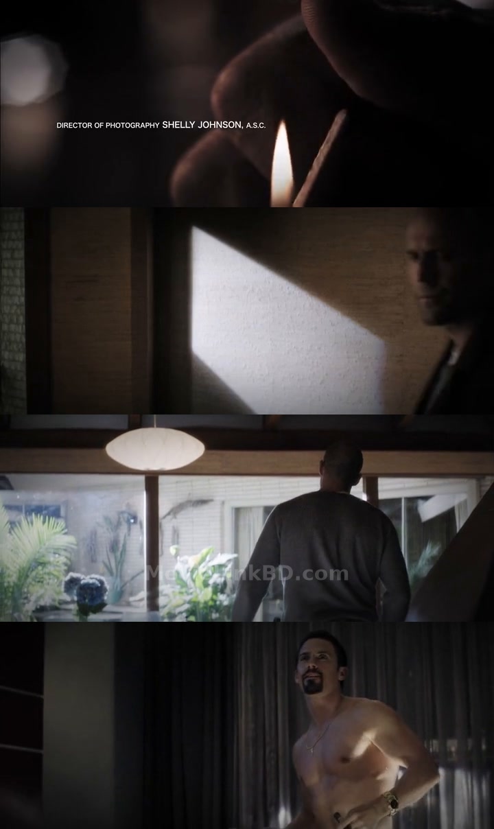 Wild Card (2015) &bull; Hindi, English, Dual Audio on MovieLinkBD Movie