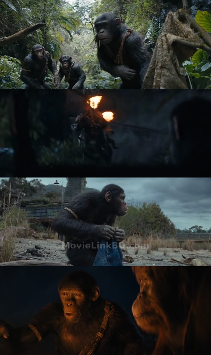 Kingdom of the Planet of the Apes  Full HD Hindi Original (2024) &bull; Hindi, English, Dual Audio on MovieLinkBD Movie