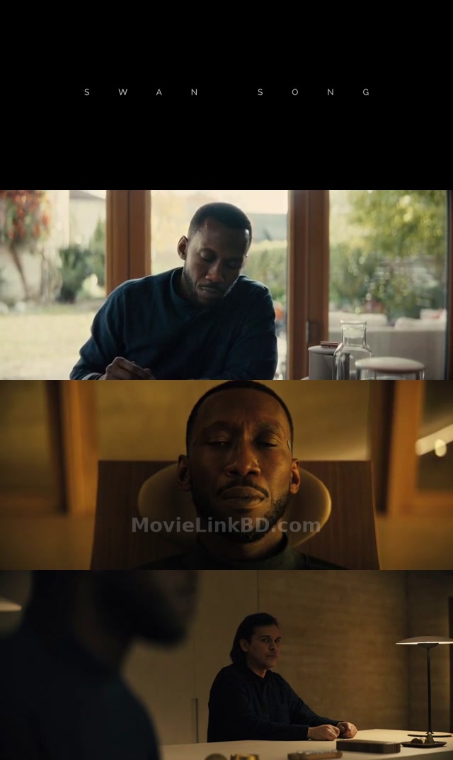 Swan Song (2021) &bull; English on MovieLinkBD Movie