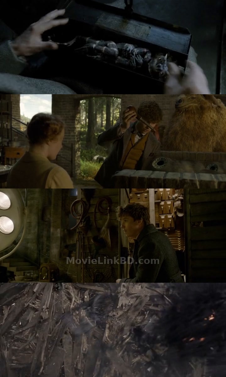 Fantastic Beasts: The Crimes of Grindelwald (2018) &bull; Dual Audio on MovieLinkBD Movie