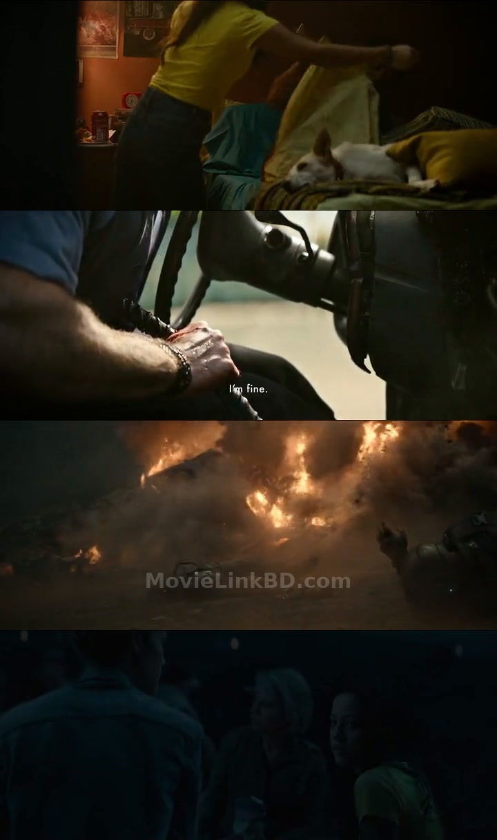 Terminator: Dark Fate (2019) English Download | MovieLinkBD Movie
