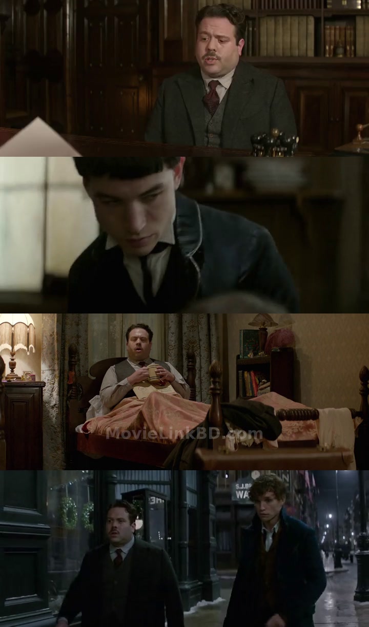 Fantastic Beasts and Where to Find Them (2016) &bull; Dual Audio on MovieLinkBD Movie
