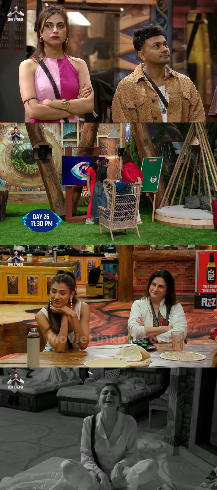 Bigg Boss Grand Premiere  S019 Ep01-106 Completed (2025) &mdash; S01 &bull; Hindi on MovieLinkBD Episode 27