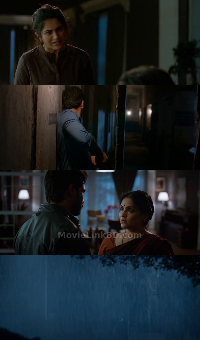 Blind Spot  [ORG Hindi] (2025) &bull; Hindi, Multi Audio on MovieLinkBD Movie