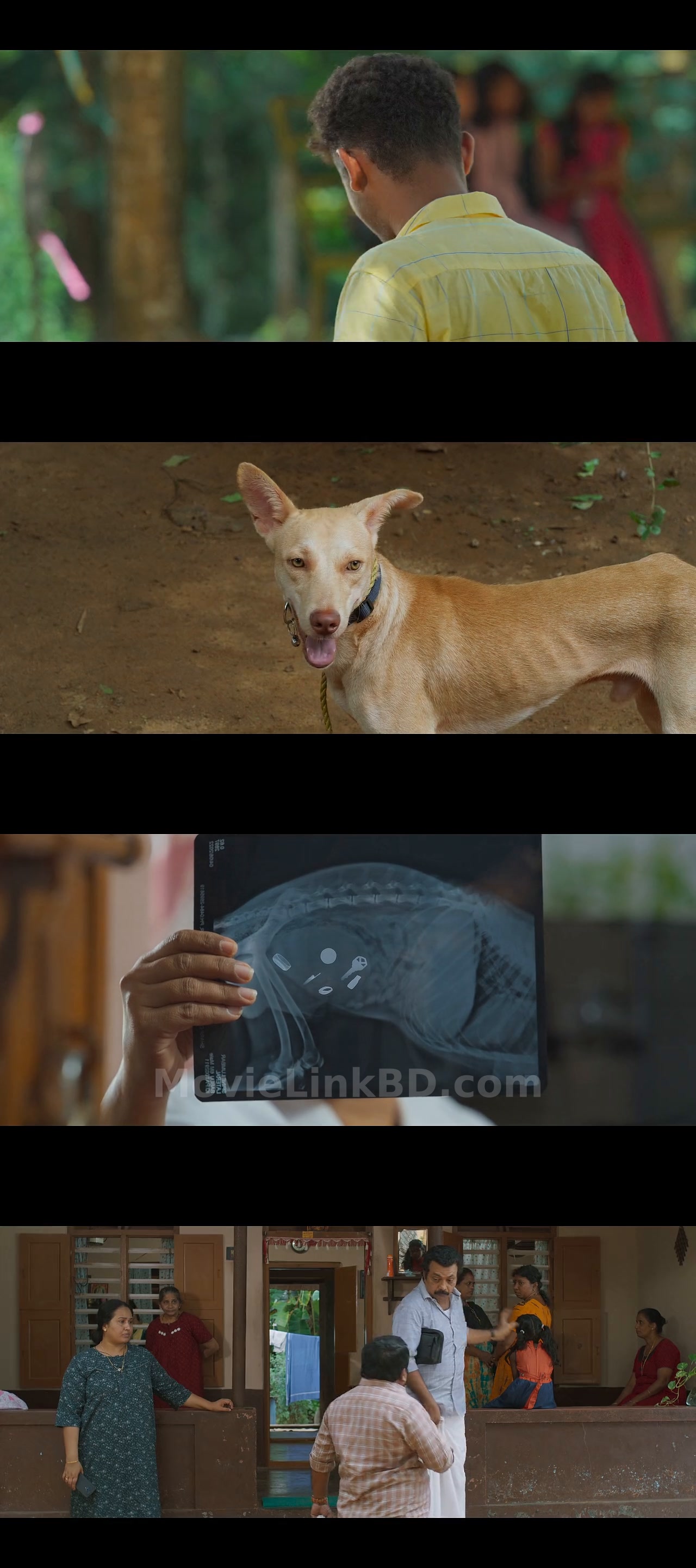 Neymar (2023) &bull; Hindi on MovieLinkBD Movie