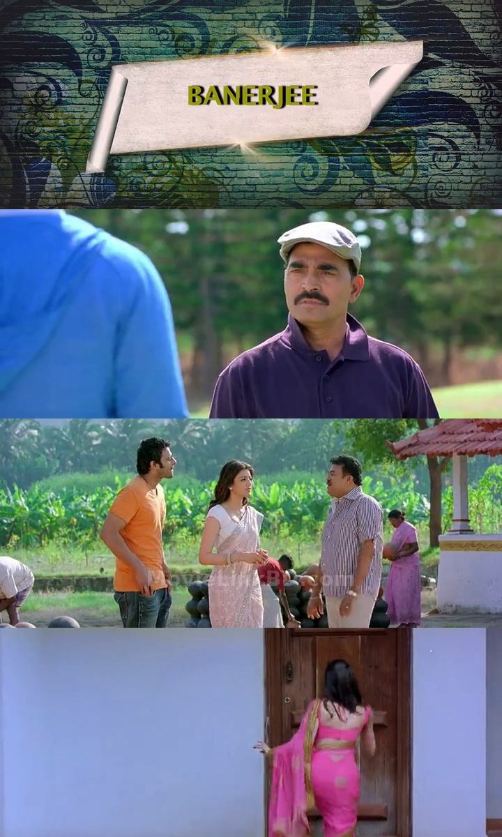 Mr Perfect (2011) Hindi Dubbed Download | MovieLinkBD TV Movie