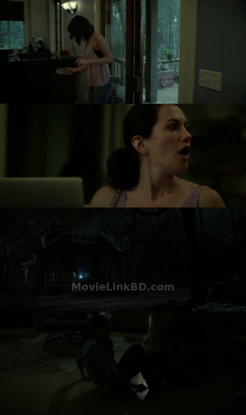 Hush (2016) &bull; English on MovieLinkBD Movie