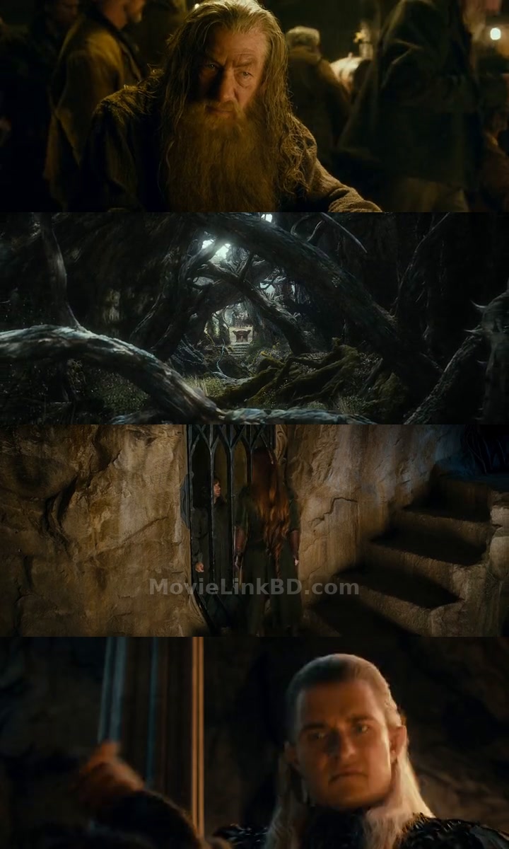 The Hobbit: The Desolation of Smaug (2013) &bull; Hindi, English, Dual Audio on MovieLinkBD Movie
