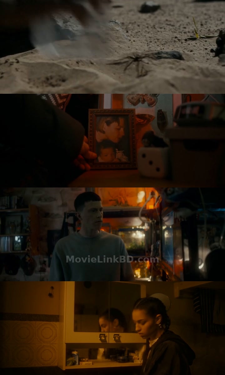 Spiders &ndash; Infested/Vermines  [ORG Hindi (2023) &bull; Hindi, French Dual Audio on MovieLinkBD Movie