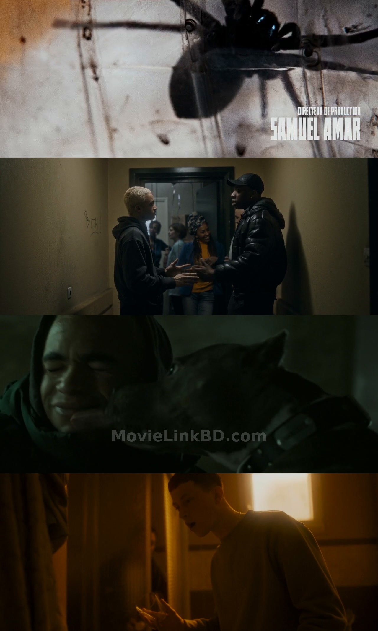 Spiders &ndash; Infested/Vermines  [ORG Hindi (2023) &bull; Hindi, French Dual Audio on MovieLinkBD Movie