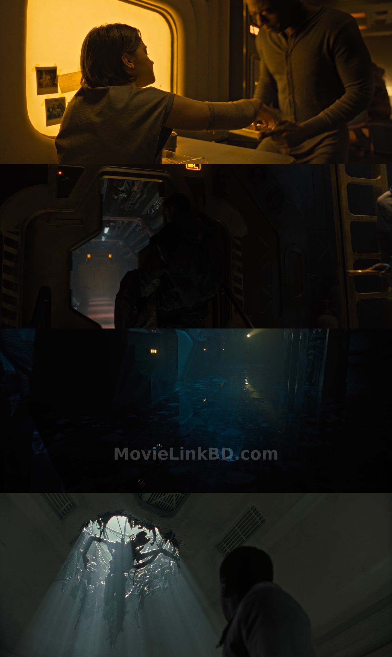 Alien: Romulus  [ORG Hindi] (2024) &bull; Hindi, English Dual Audio on MovieLinkBD Movie