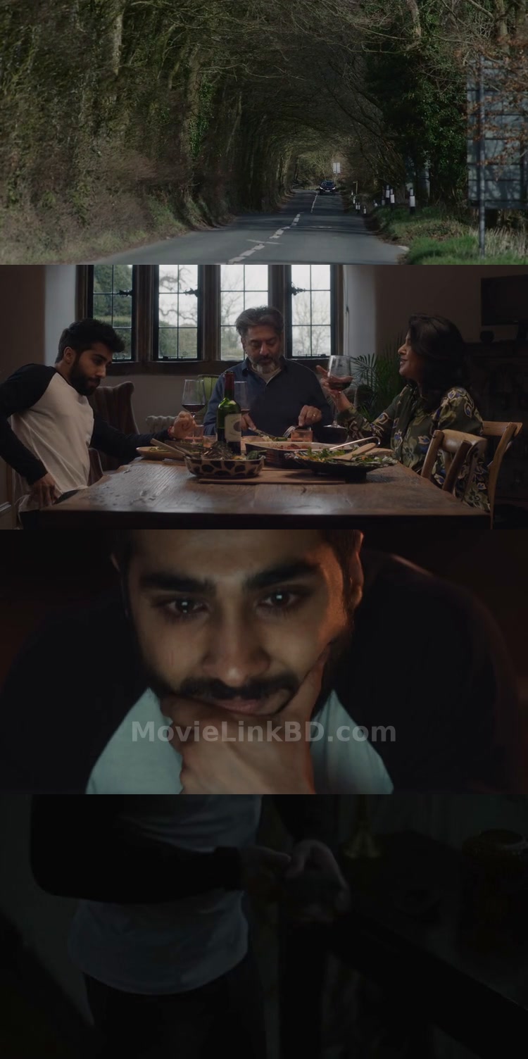 Accused  [ORG Hindi] (2023) &bull; Hindi, English Dual Audio on MovieLinkBD Movie