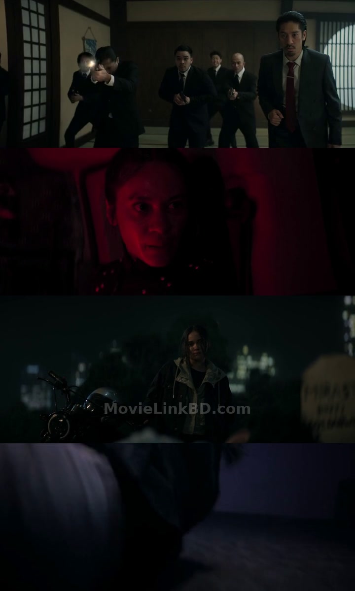 The Shadow Strays  [ORG Hindi] (2024) &bull; Hindi, English Dual Audio on MovieLinkBD Movie