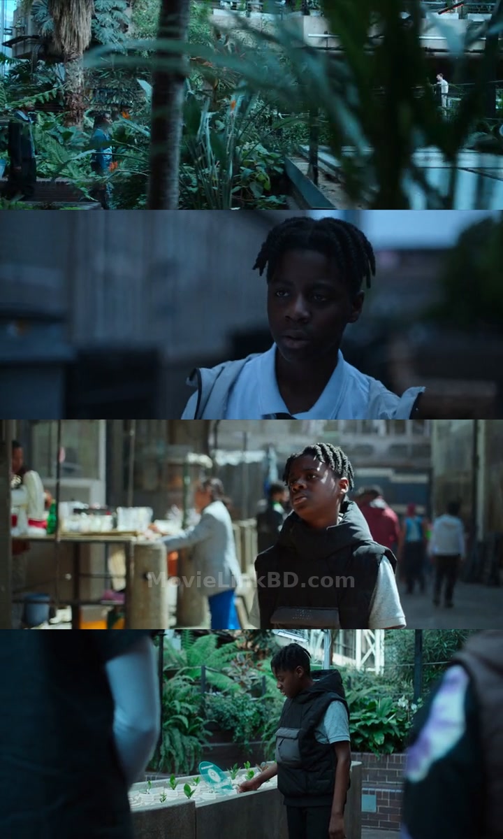 The Kitchen  [ORG Hindi] (2023) &bull; English + Hindi + Dual Audio on MovieLinkBD Movie