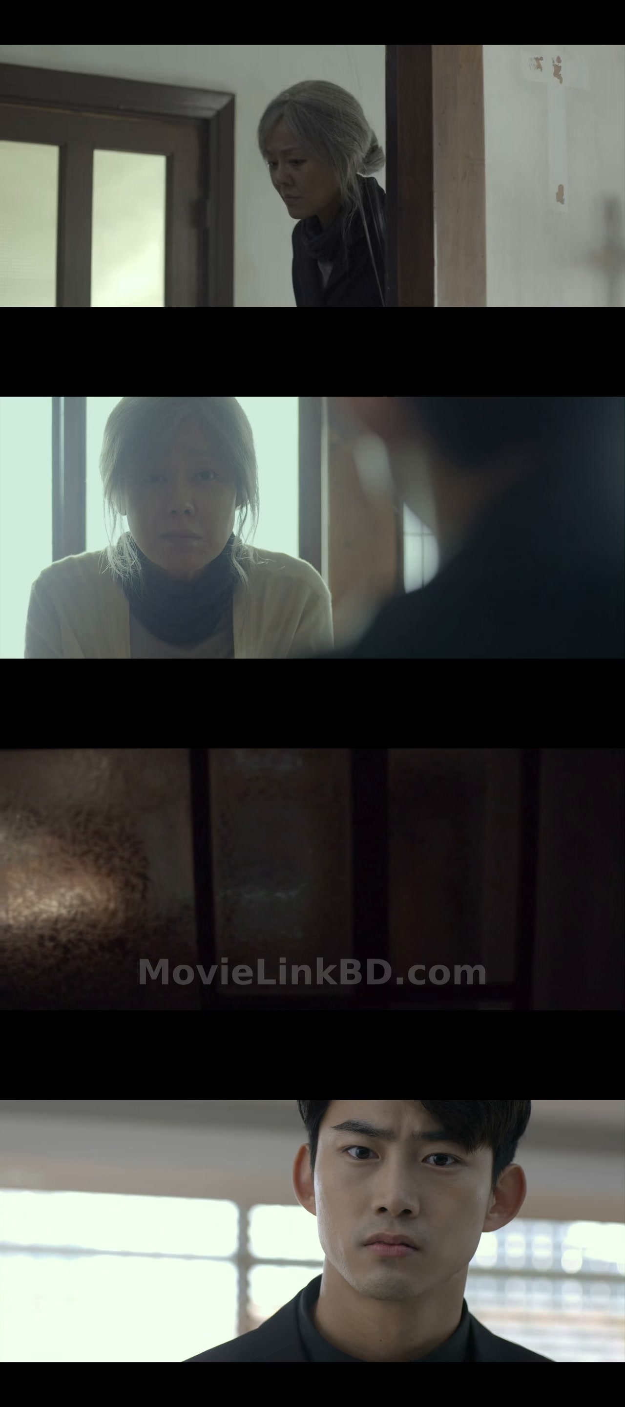 House of the Disappeared  [ORG Hindi] (2017) &bull; Hindi, Korean Dual Audio on MovieLinkBD Movie