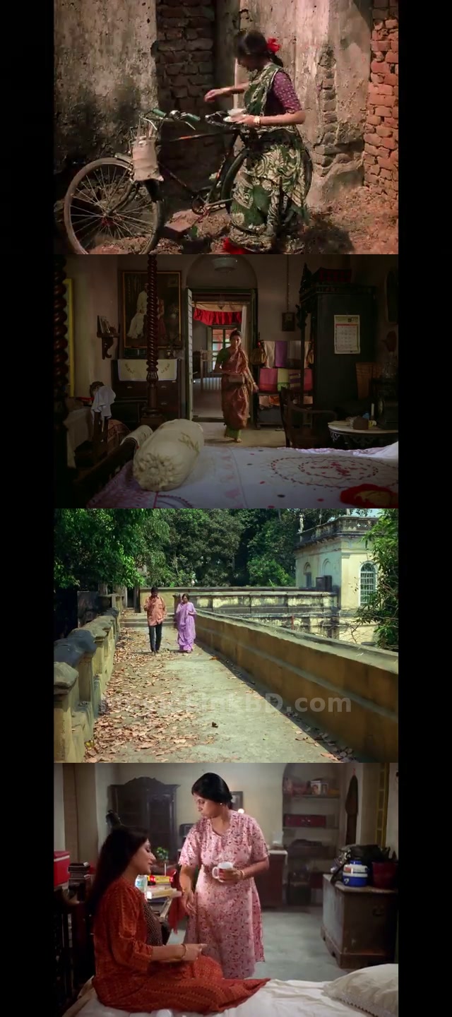 The Lady of the House (Bariwali) (2000) Bangla Download | MovieLinkBD TV Movie