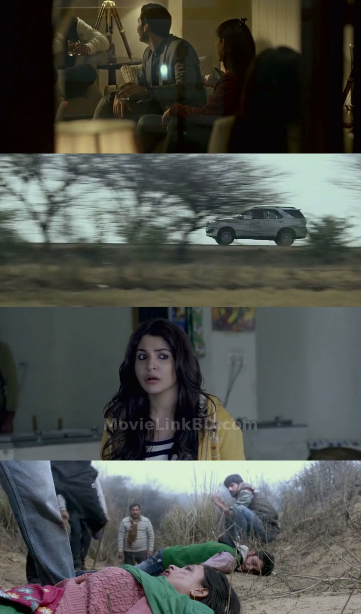 NH10 (2015) &bull; Hindi on MovieLinkBD Movie
