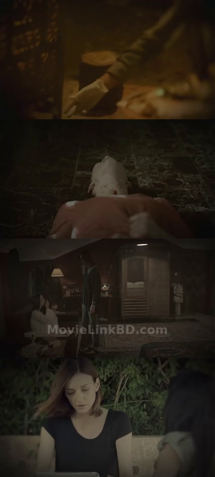 Dabbe 6: The Return (2015) &bull; Turkish on MovieLinkBD Movie