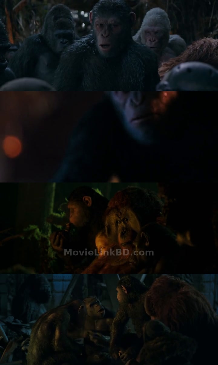 War for the Planet of the Apes (2017) &bull; Dual Audio on MovieLinkBD Movie