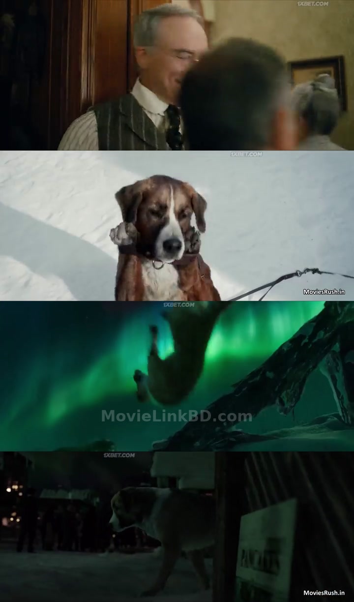 The Call of the Wild (2020) &bull; English on MovieLinkBD Movie