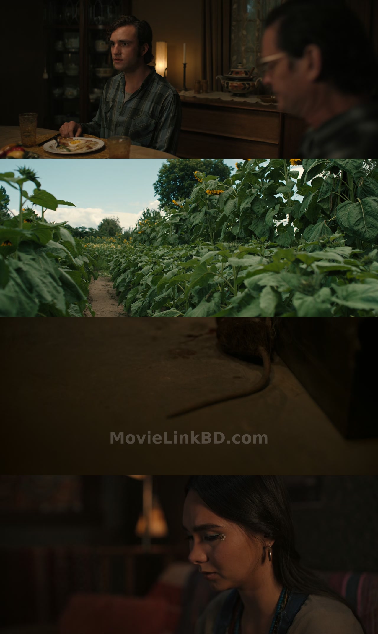 Pet Sematary: Bloodlines  [ORG Hindi] (2023) &bull; English + Hindi + Dual Audio on MovieLinkBD Movie