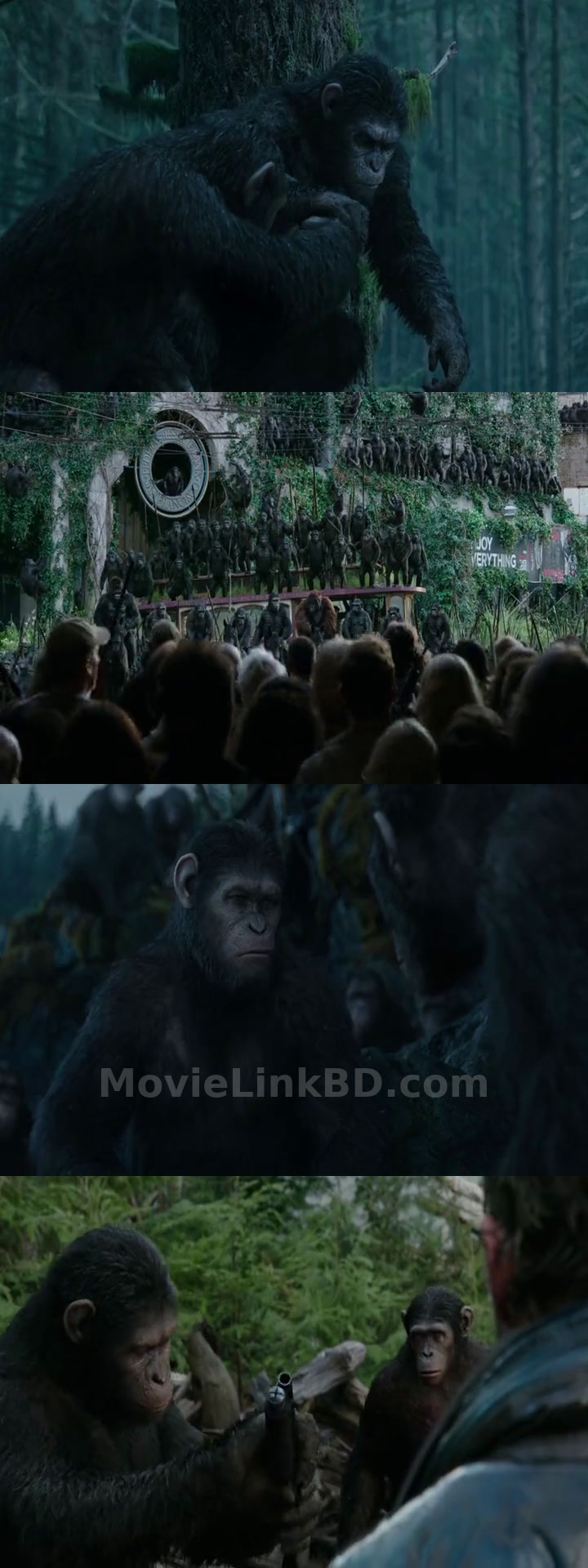 Dawn of the Planet of the Apes (2014) English Download | MovieLinkBD TV Movie