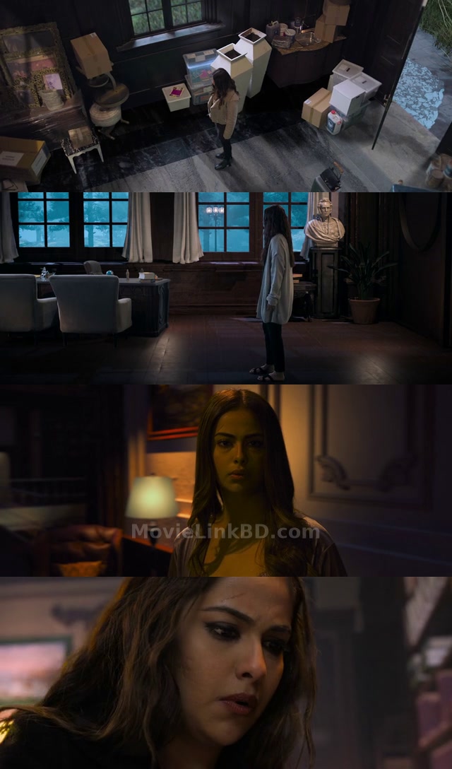 Bloody Ishq -Full HD- 1080/720/480+ (2024) &bull; Hindi on MovieLinkBD Movie