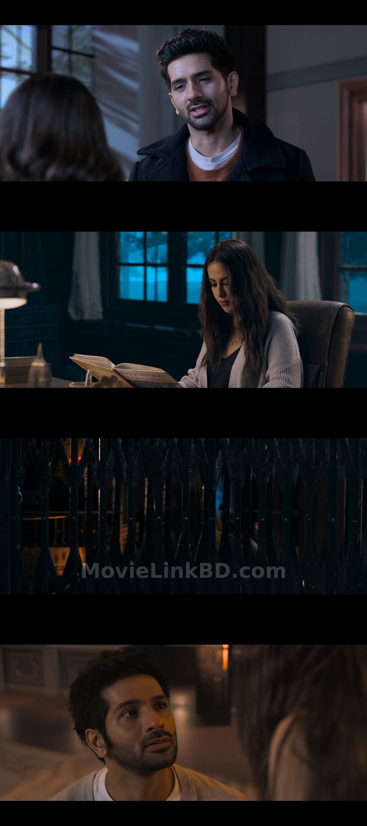 Bloody Ishq -Full HD- 1080/720/480+ (2024) &bull; Hindi on MovieLinkBD Movie