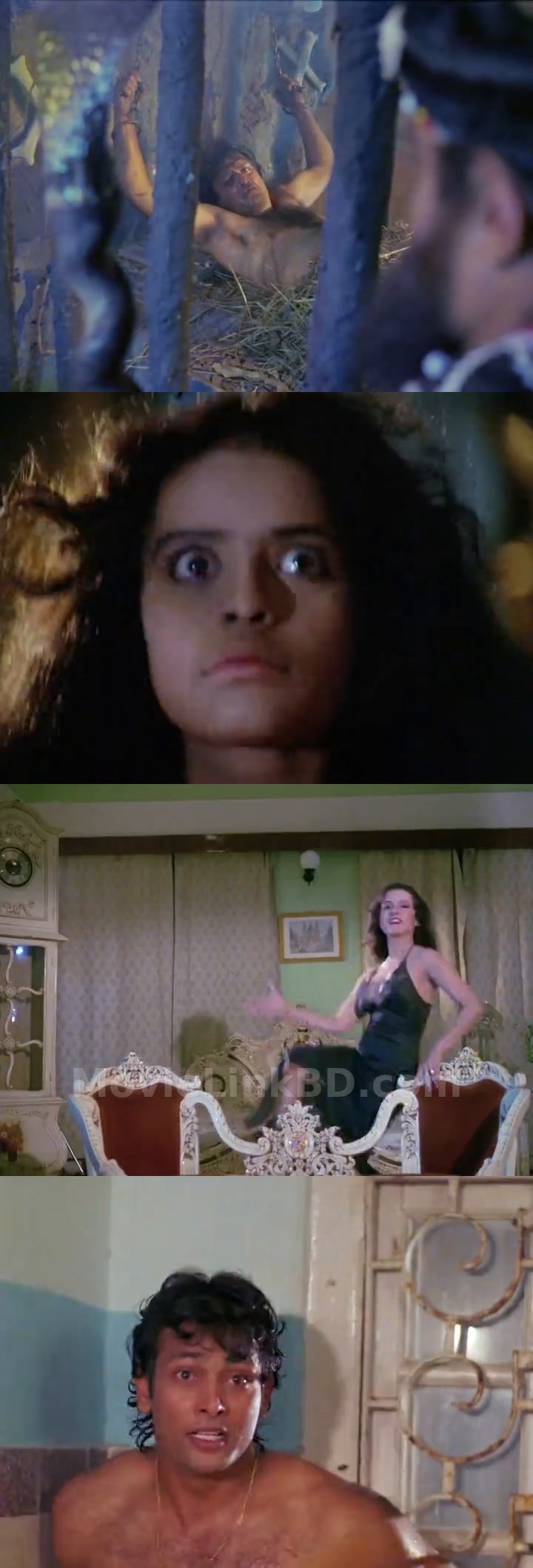 Veerana (1988) &bull; Hindi on MovieLinkBD Movie