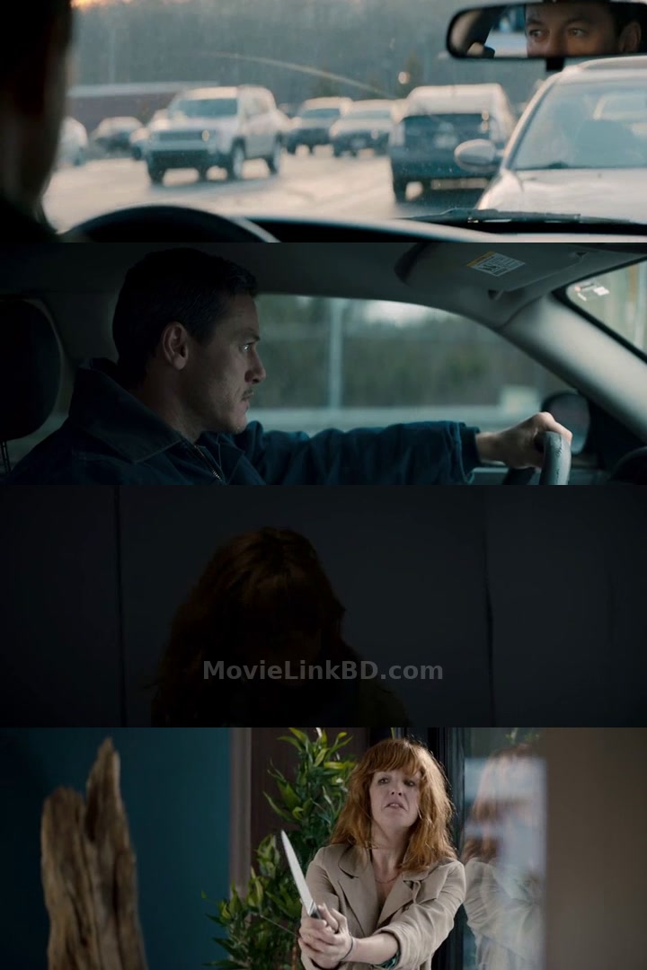 10&times;10 &bull; English + Hindi + Dual Audio on MovieLinkBD Movie